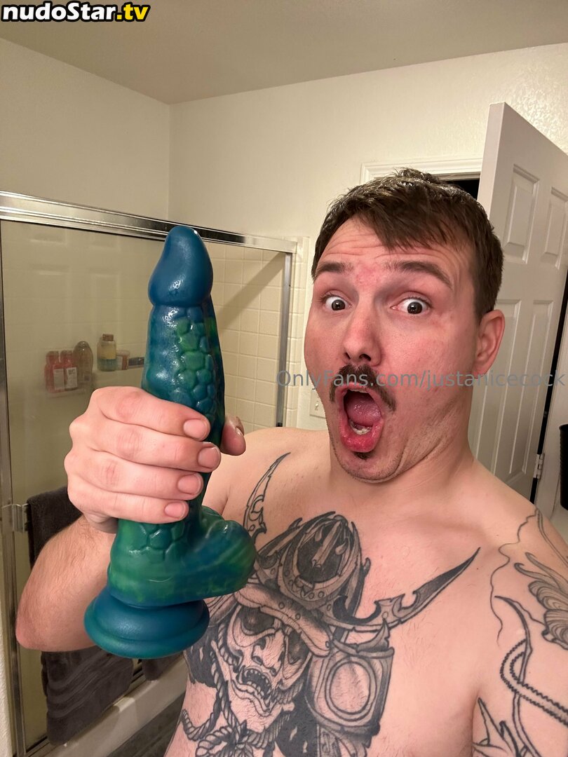 justanicecock Nude OnlyFans Leaked Photo #51