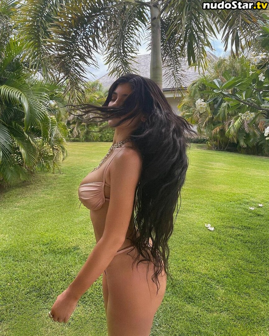 Kylie Jenner / kyliejenner / kyliejenner.2 Nude OnlyFans Leaked Photo #866