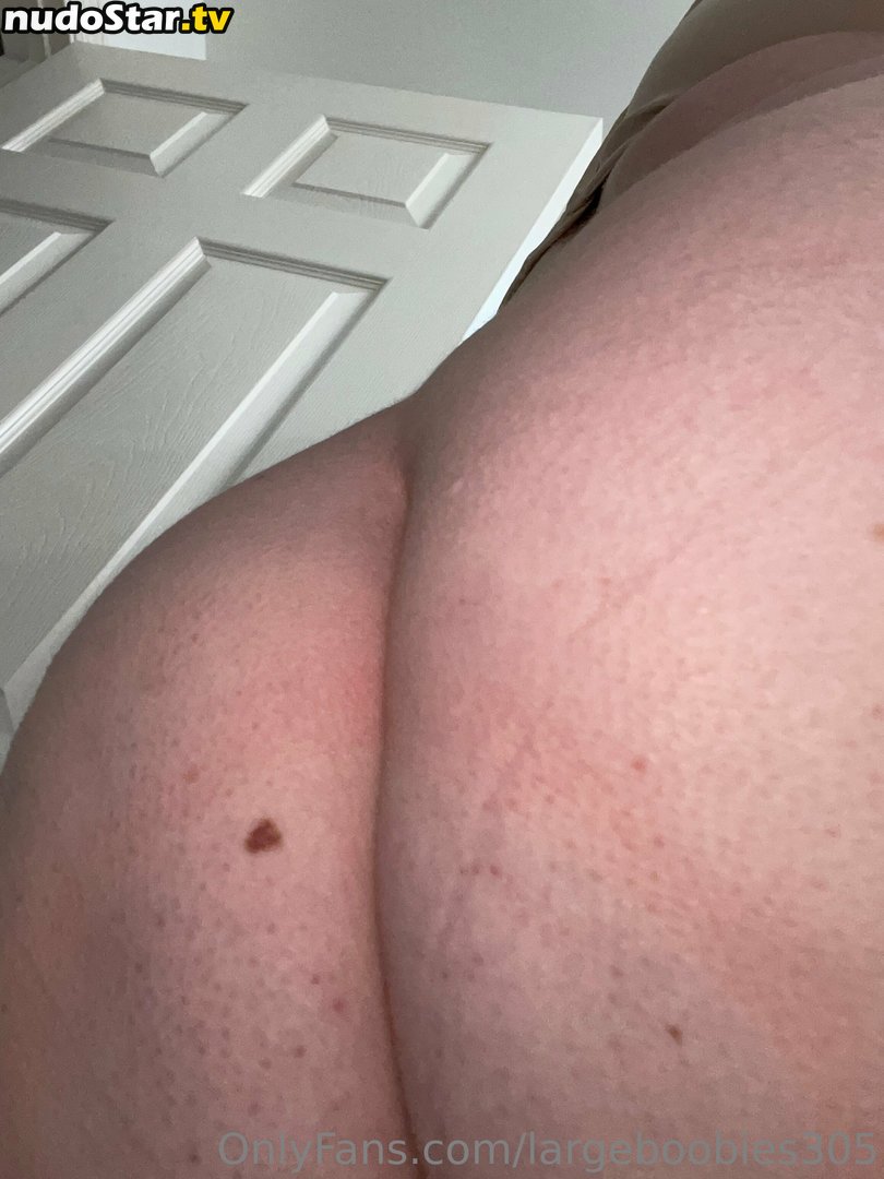 largeboobies305 Nude OnlyFans Leaked Photo #29
