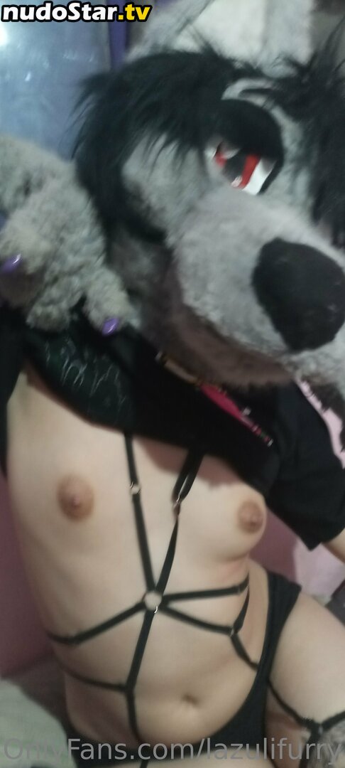 _lilarry / lazulifurry Nude OnlyFans Leaked Photo #16