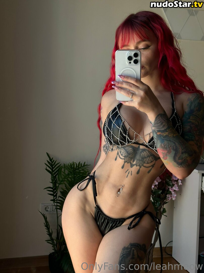 _leah.chan_ / leahmeow Nude OnlyFans Leaked Photo #48