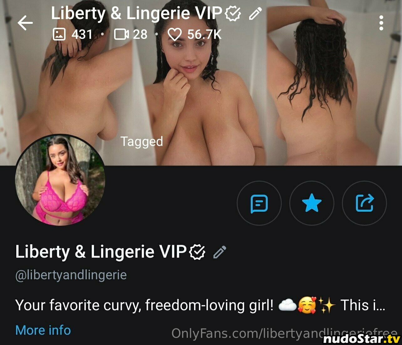 libertyandlingerie / libertyandlingeriefree Nude OnlyFans Leaked Photo #19