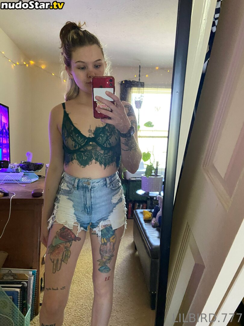 danilynn423 / lilbird.777 Nude OnlyFans Leaked Photo #47