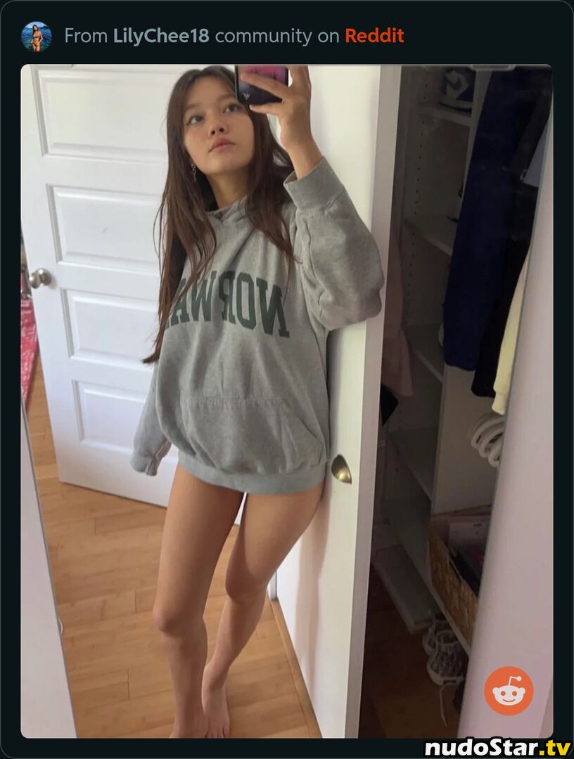Lily Chee / lilychee Nude OnlyFans Leaked Photo #186