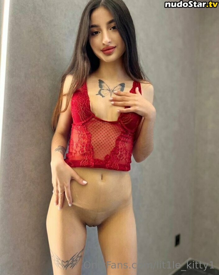 lit1le_kitty / lit1le_kitty1 Nude OnlyFans Leaked Photo #23