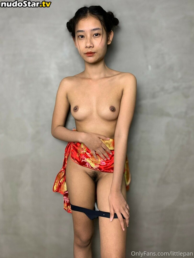 littlepan / littlepan123 Nude OnlyFans Leaked Photo #22