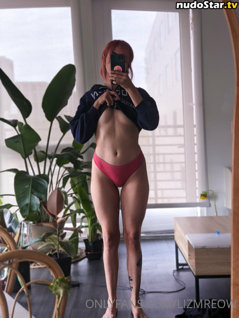Lizmreow / lizlizmeow Nude OnlyFans Leaked Photo #19