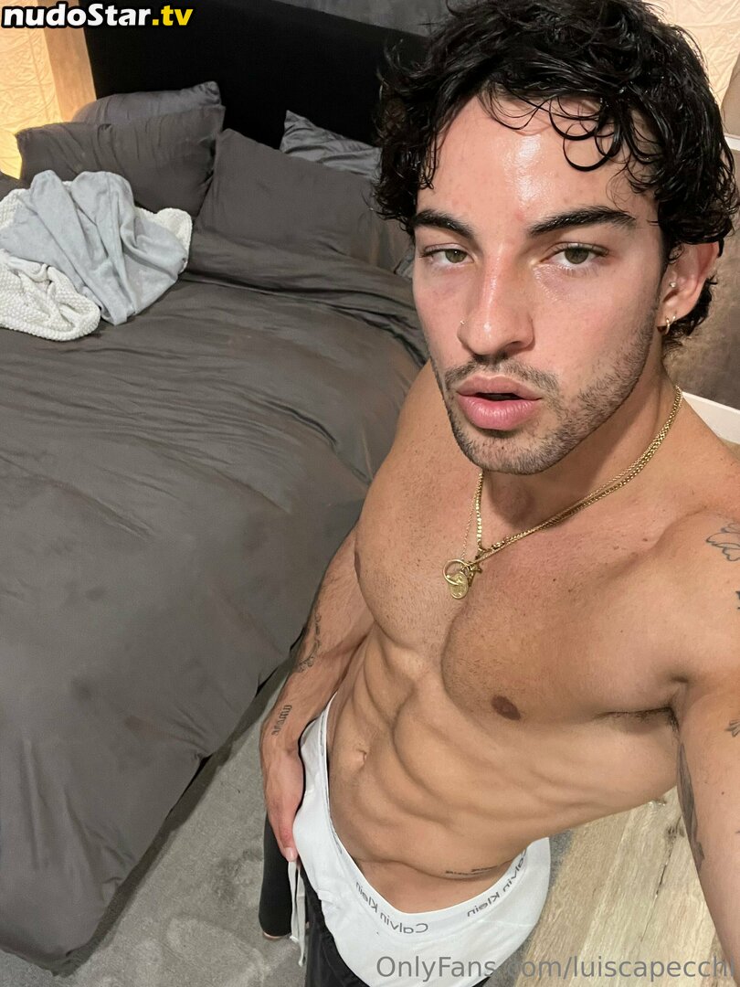 luiscapecchi Nude OnlyFans Leaked Photo #10