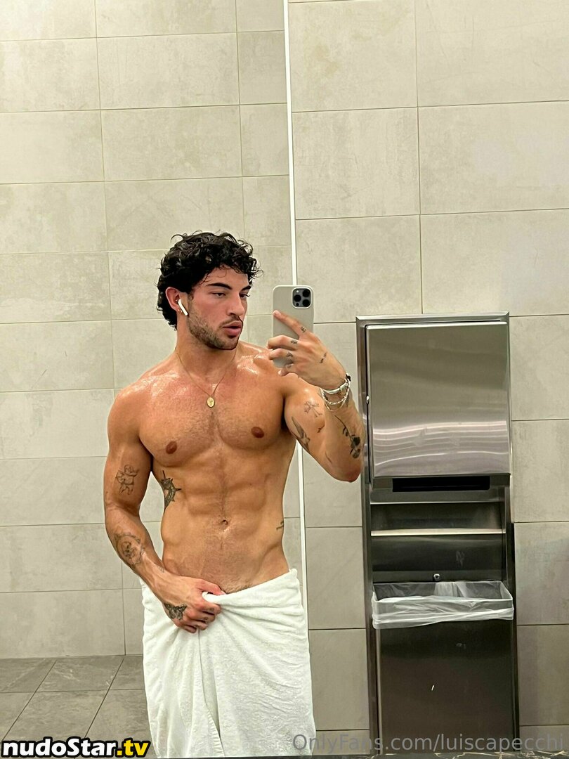 luiscapecchi Nude OnlyFans Leaked Photo #17