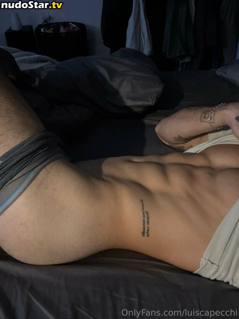 luiscapecchi Nude OnlyFans Leaked Photo #27
