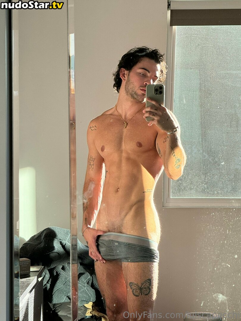 luiscapecchi Nude OnlyFans Leaked Photo #30