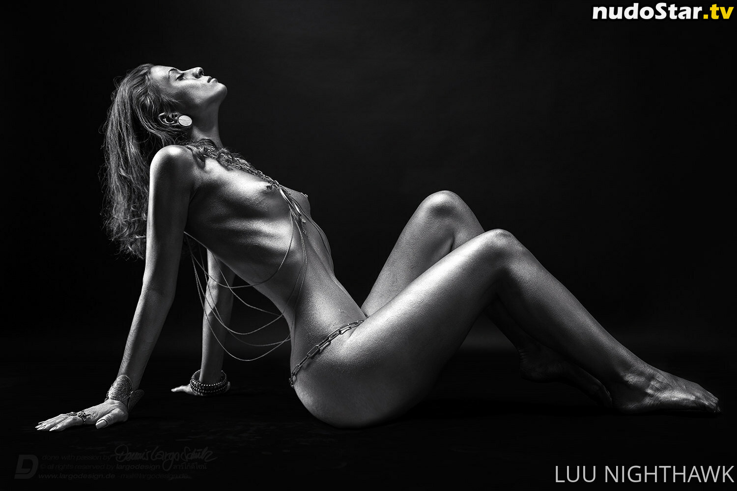 luu_nighthawk Nude OnlyFans Leaked Photo #14