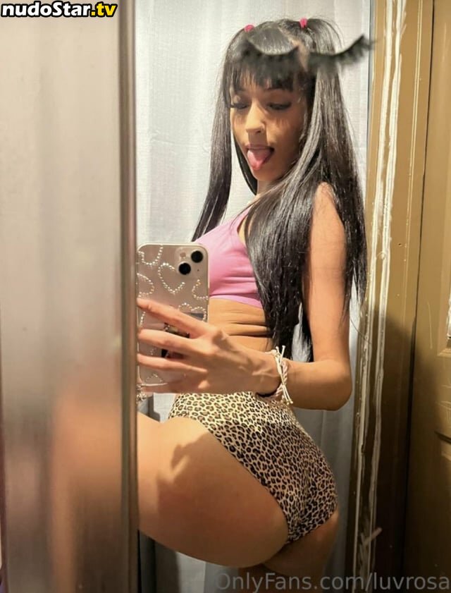 luvrosa Nude OnlyFans Leaked Photo #26
