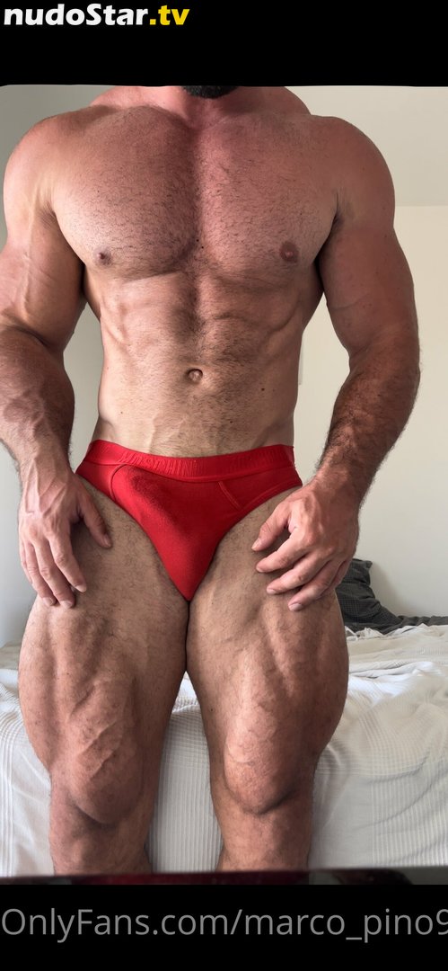 marco_pino91 Nude OnlyFans Leaked Photo #3