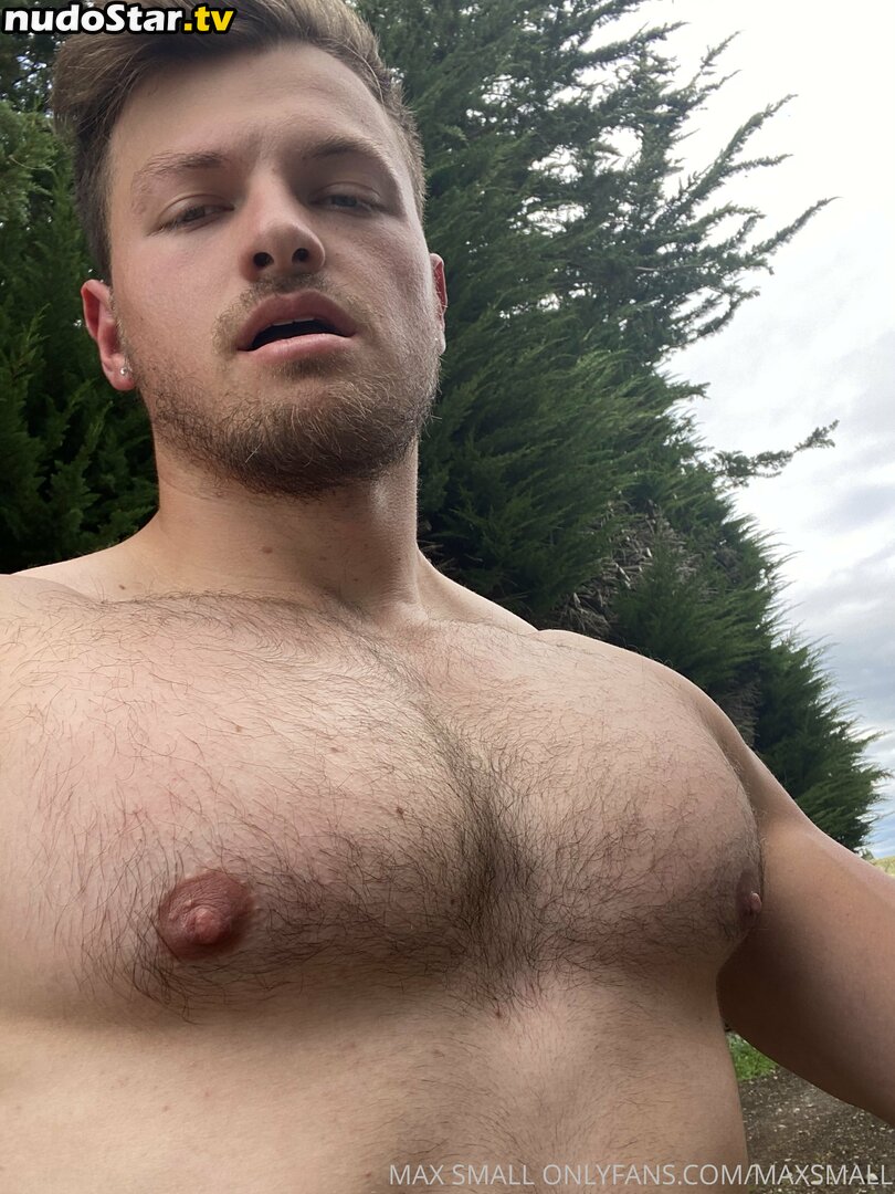 _maxsmall / maxsmall Nude OnlyFans Leaked Photo #23