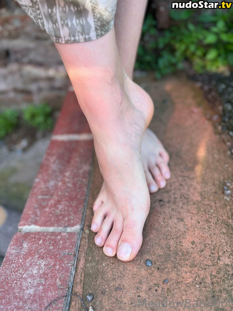 meadowbarefoot Nude OnlyFans Photo #1 - Nudostar.TV