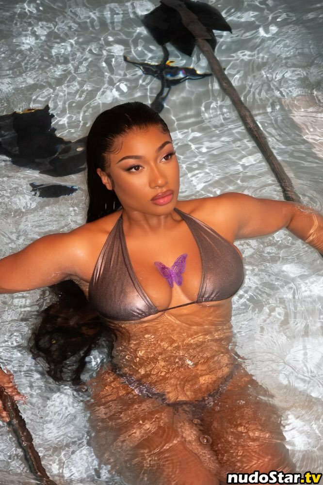 Megan Thee Stallion / megan_renee316 / theestallion Nude OnlyFans Leaked Photo #718