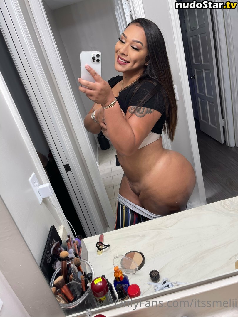 melifineass Nude OnlyFans Leaked Photo #4
