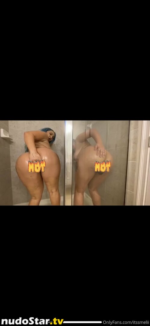 melifineass Nude OnlyFans Leaked Photo #68
