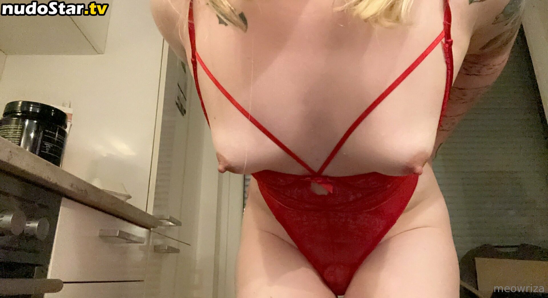Meowriza Nude OnlyFans Leaked Photo #277