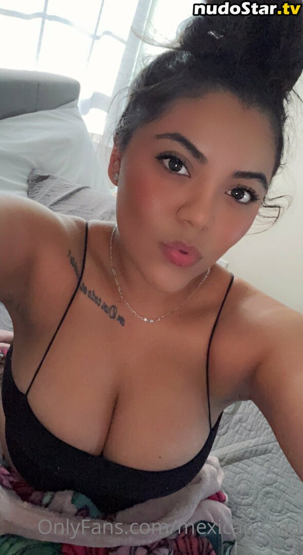 mexicanitaaa Nude OnlyFans Leaked Photo #18