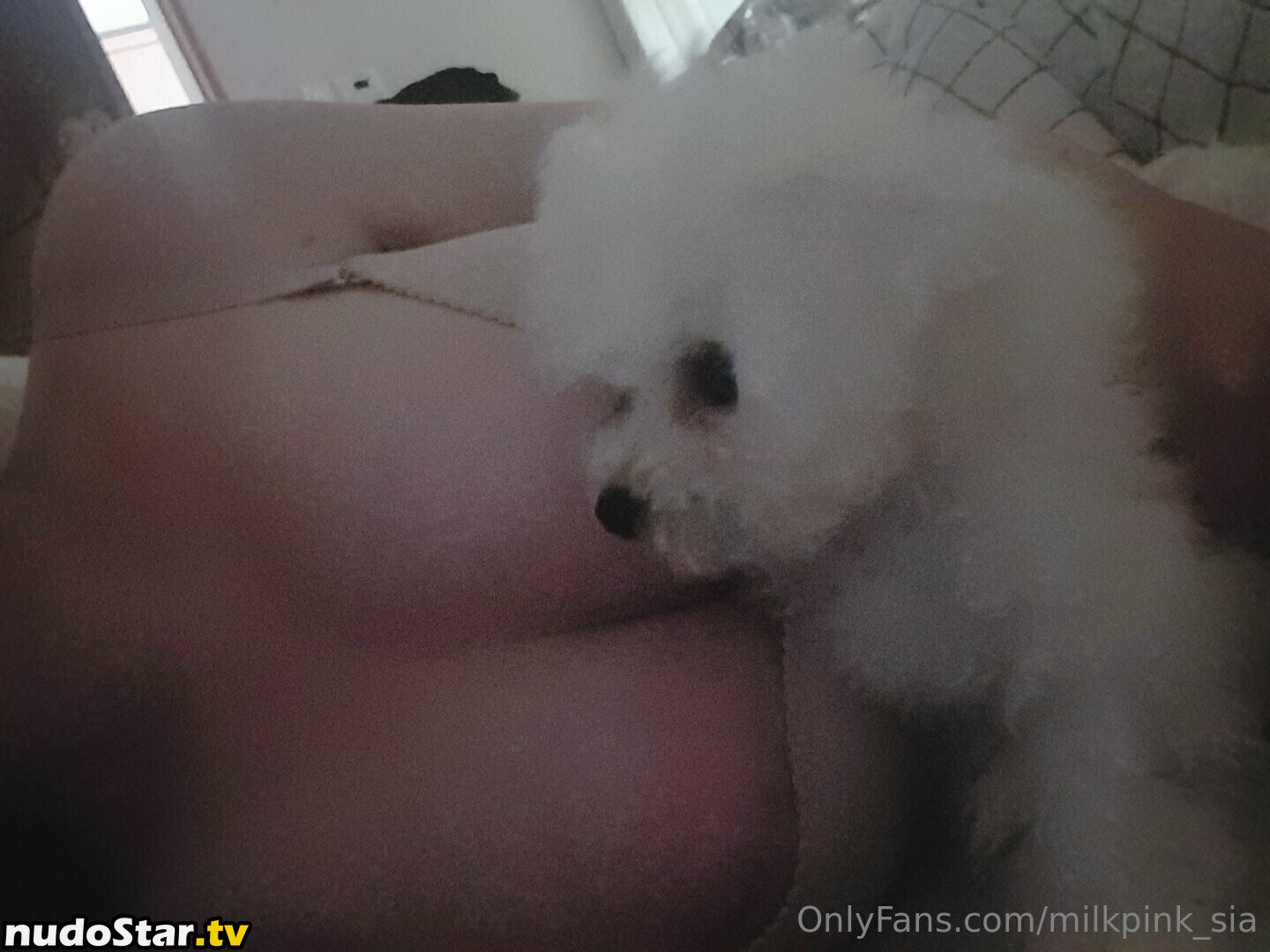 milkpink_sia Nude OnlyFans Leaked Photo #28