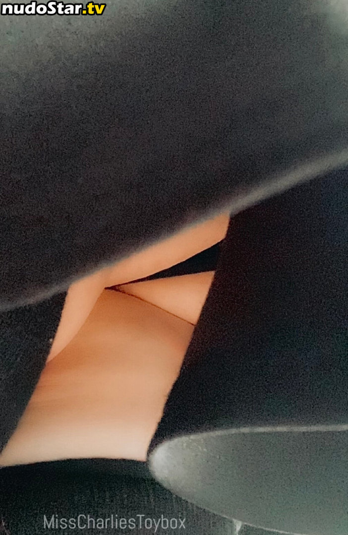 misscharliestoybox / theregowhitneyyyy Nude OnlyFans Leaked Photo #22