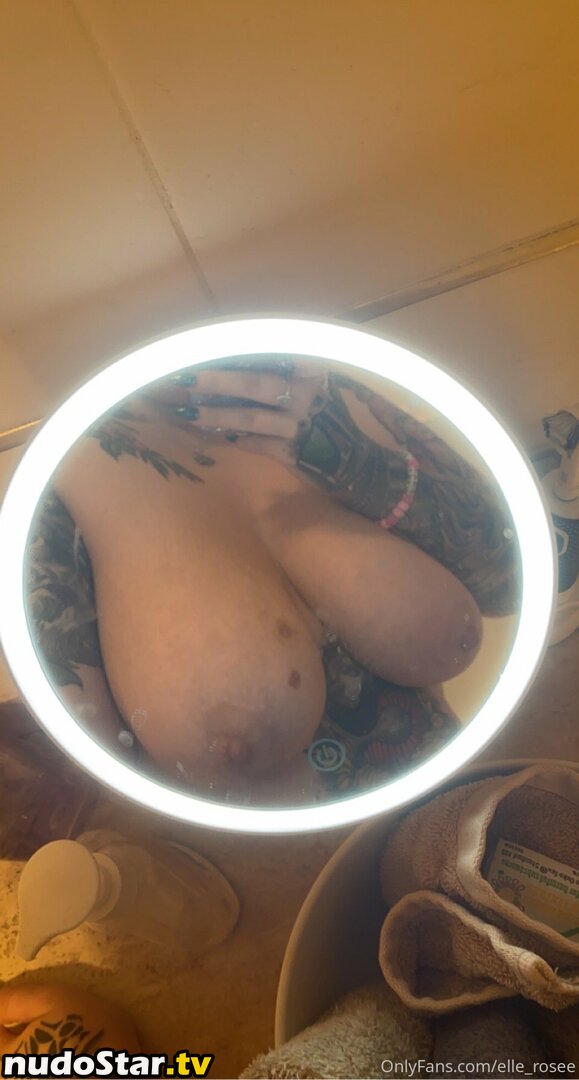 missellerosee Nude OnlyFans Leaked Photo #20