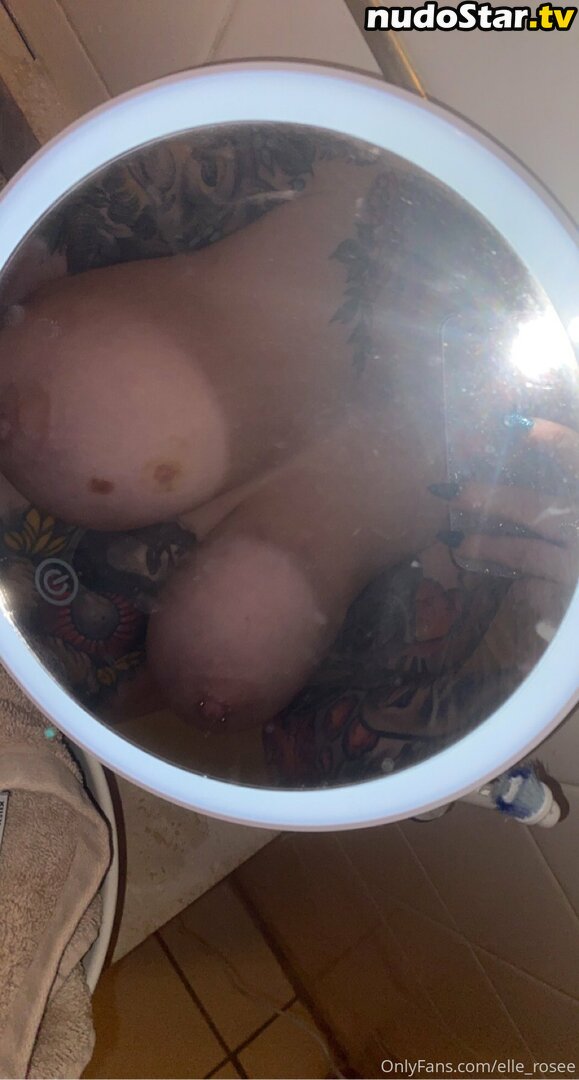 missellerosee Nude OnlyFans Leaked Photo #25