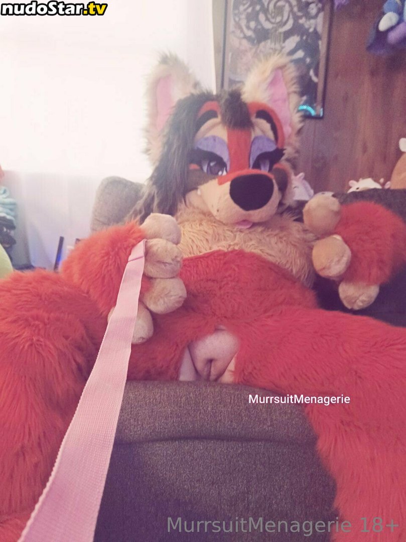 _chausterrrr / murrsuitmenagerie Nude OnlyFans Leaked Photo #1