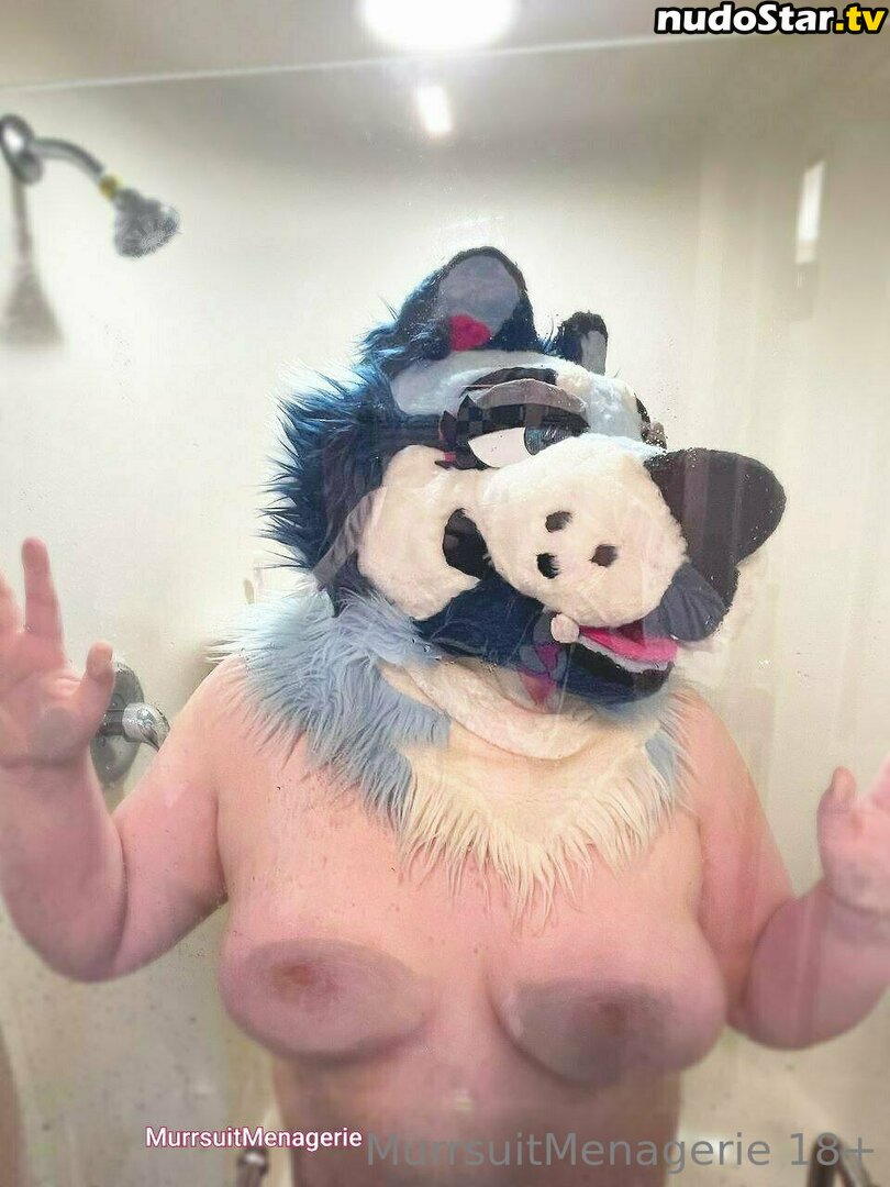 _chausterrrr / murrsuitmenagerie Nude OnlyFans Leaked Photo #8
