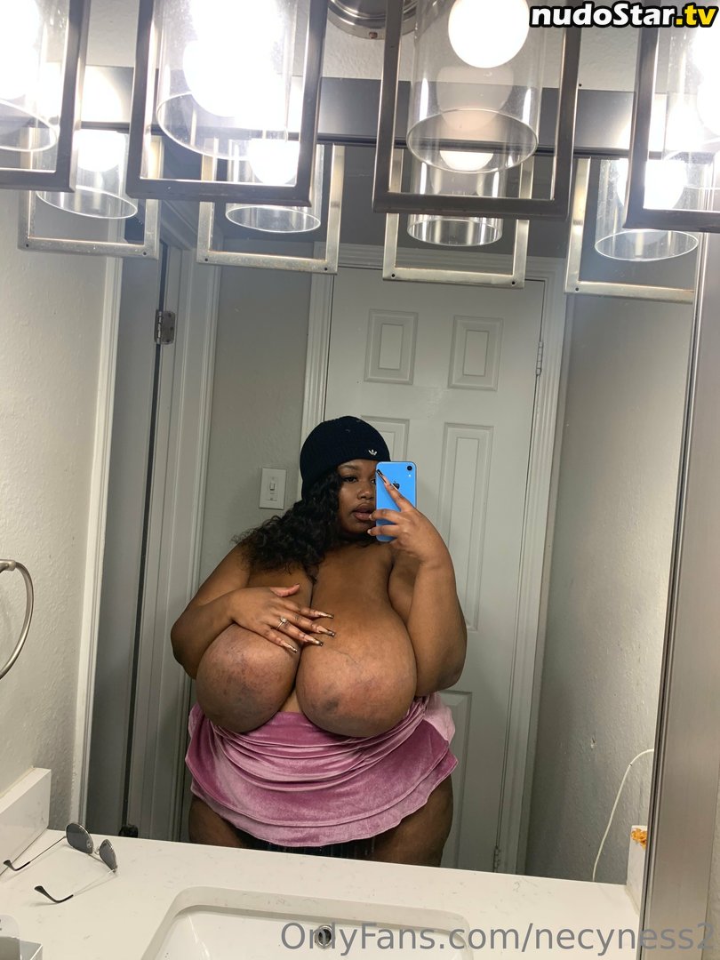 necyness2 / necynesss Nude OnlyFans Leaked Photo #5