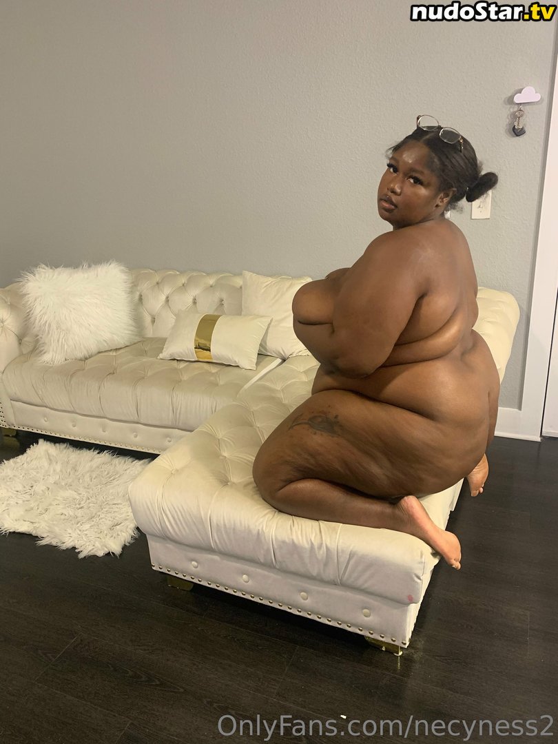necyness2 / necynesss Nude OnlyFans Leaked Photo #21