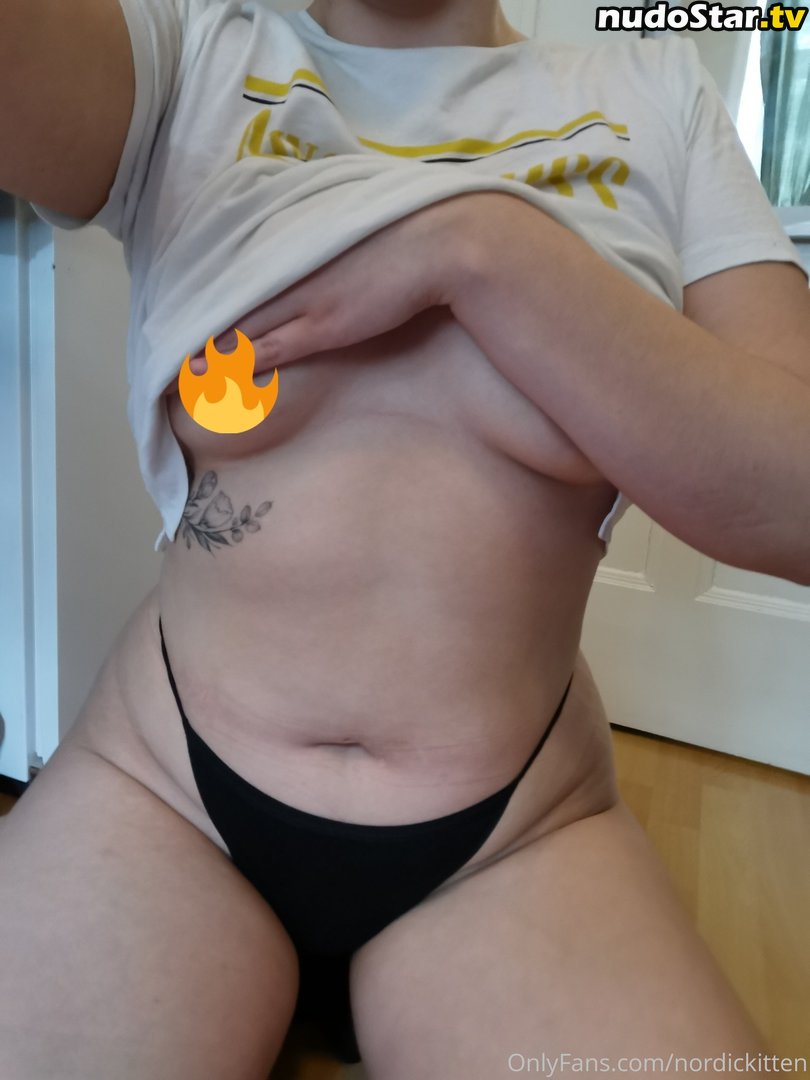 nordickitten Nude OnlyFans Leaked Photo #12