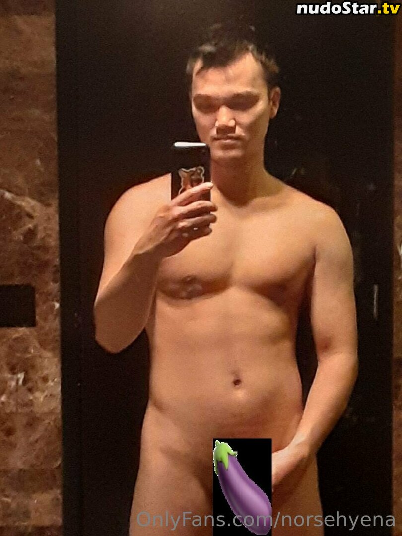 norsehyena / wasenaz Nude OnlyFans Leaked Photo #10