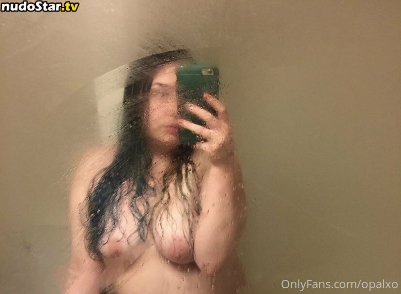 0palxo / opalxo Nude OnlyFans Leaked Photo #39