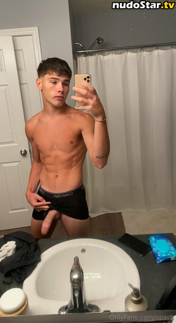 opash Nude OnlyFans Leaked Photo #45