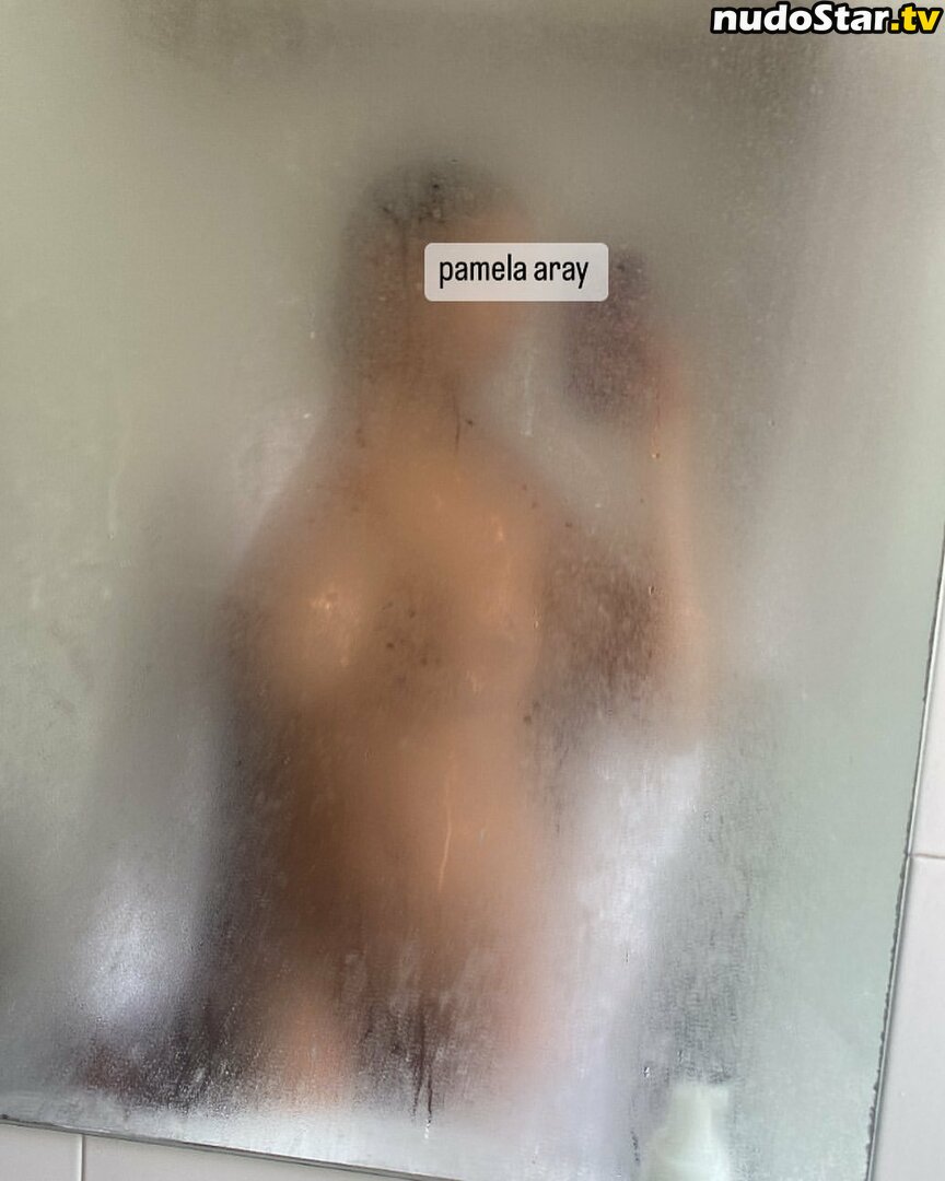 Pamela Aray Nude OnlyFans Leaked Photo #6