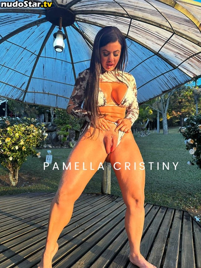Pamella Cristiny / Pamella Makeup / pampam7463 Nude OnlyFans Leaked Photo #16
