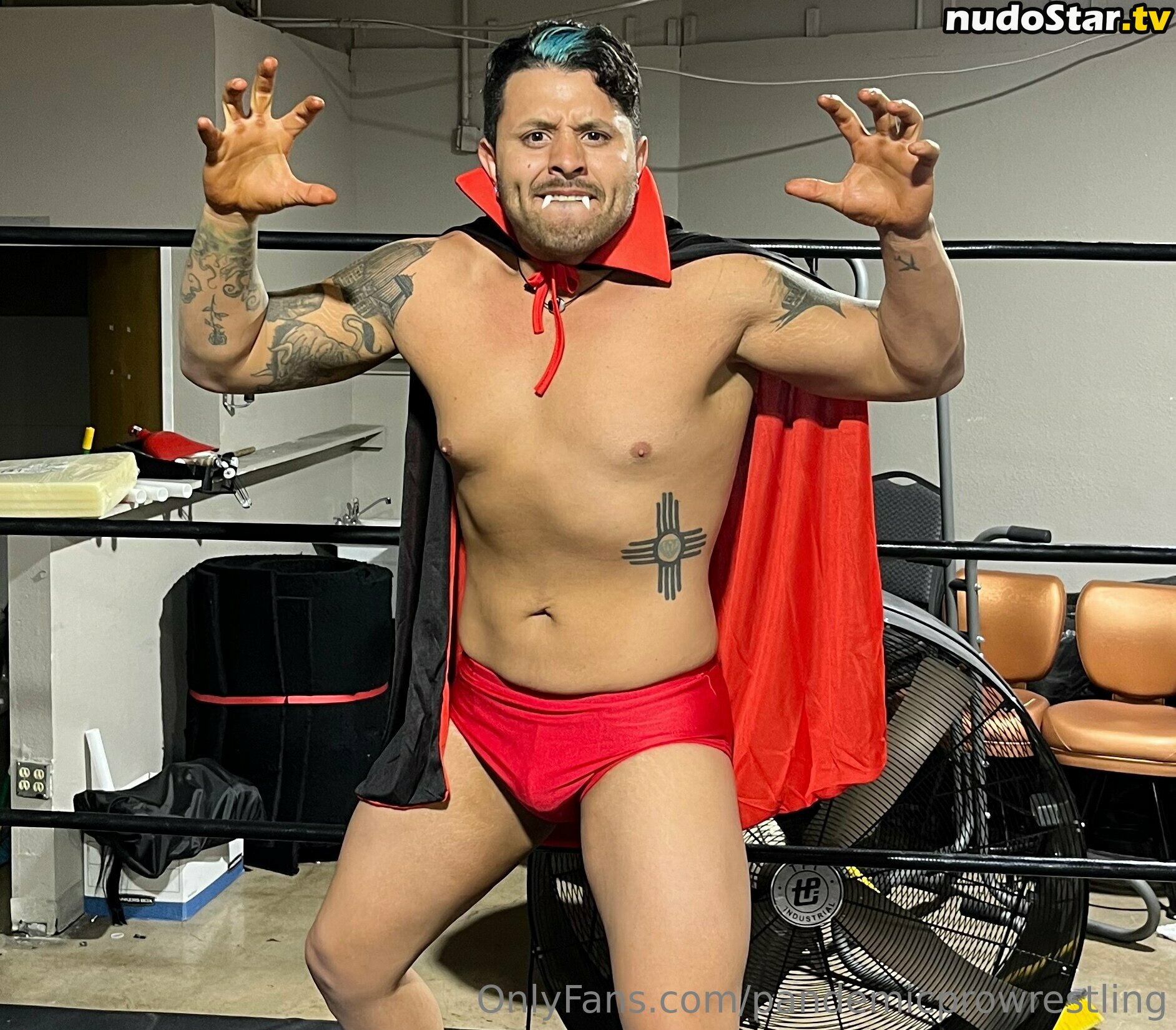 pandemicprowrestling Nude OnlyFans Leaked Photo #83