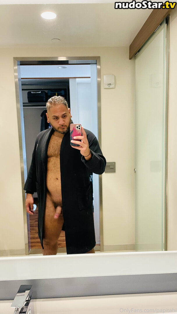 papitahi Nude OnlyFans Leaked Photo #2