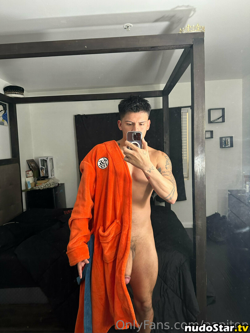papitop Nude OnlyFans Leaked Photo #37