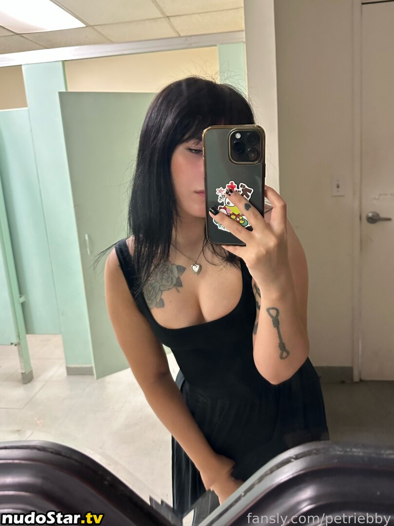 petriebby Nude OnlyFans Leaked Photo #22