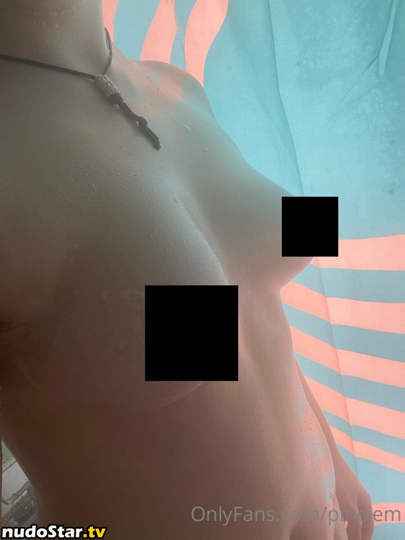 pinejam / pinejem Nude OnlyFans Leaked Photo #3