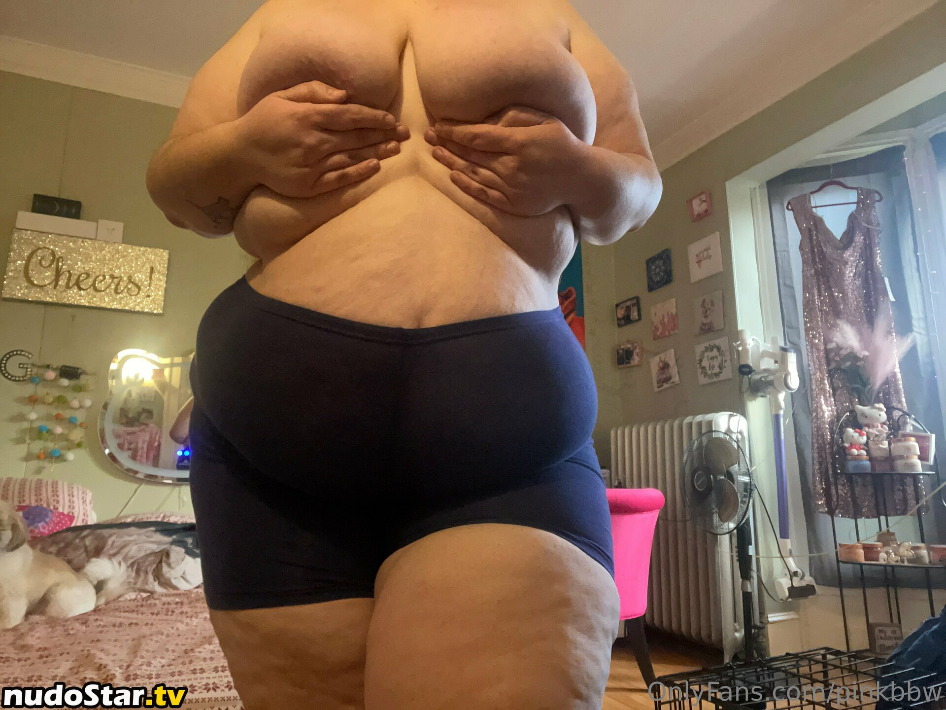pinkbbw Nude OnlyFans Leaked Photo #7