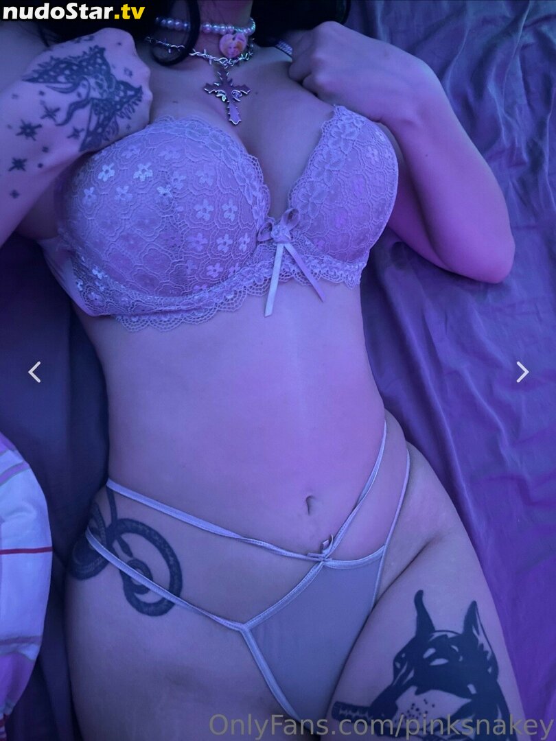 Pinksnakey69 / pinksnakey Nude OnlyFans Leaked Photo #29