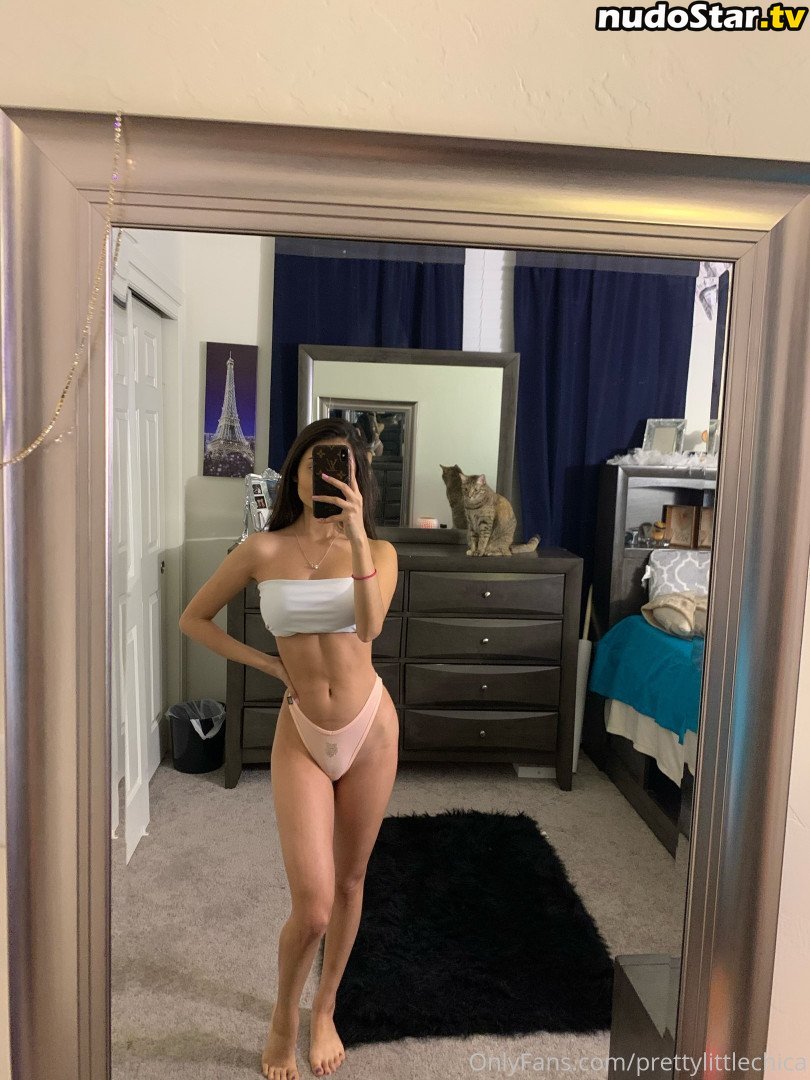 prettylittlechica Nude OnlyFans Leaked Photo #1
