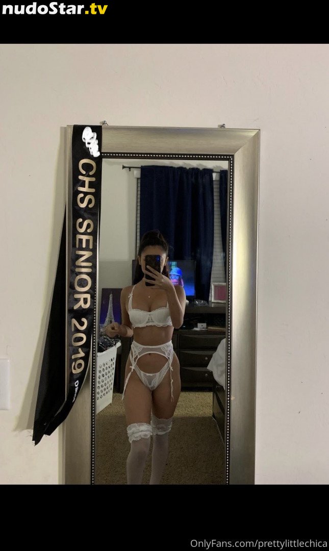 prettylittlechica Nude OnlyFans Leaked Photo #19