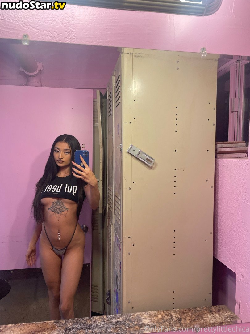 prettylittlechica Nude OnlyFans Leaked Photo #48