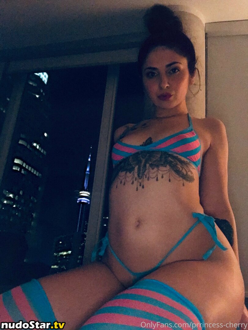 cherrychy_ / prrincess-cherry Nude OnlyFans Leaked Photo #28